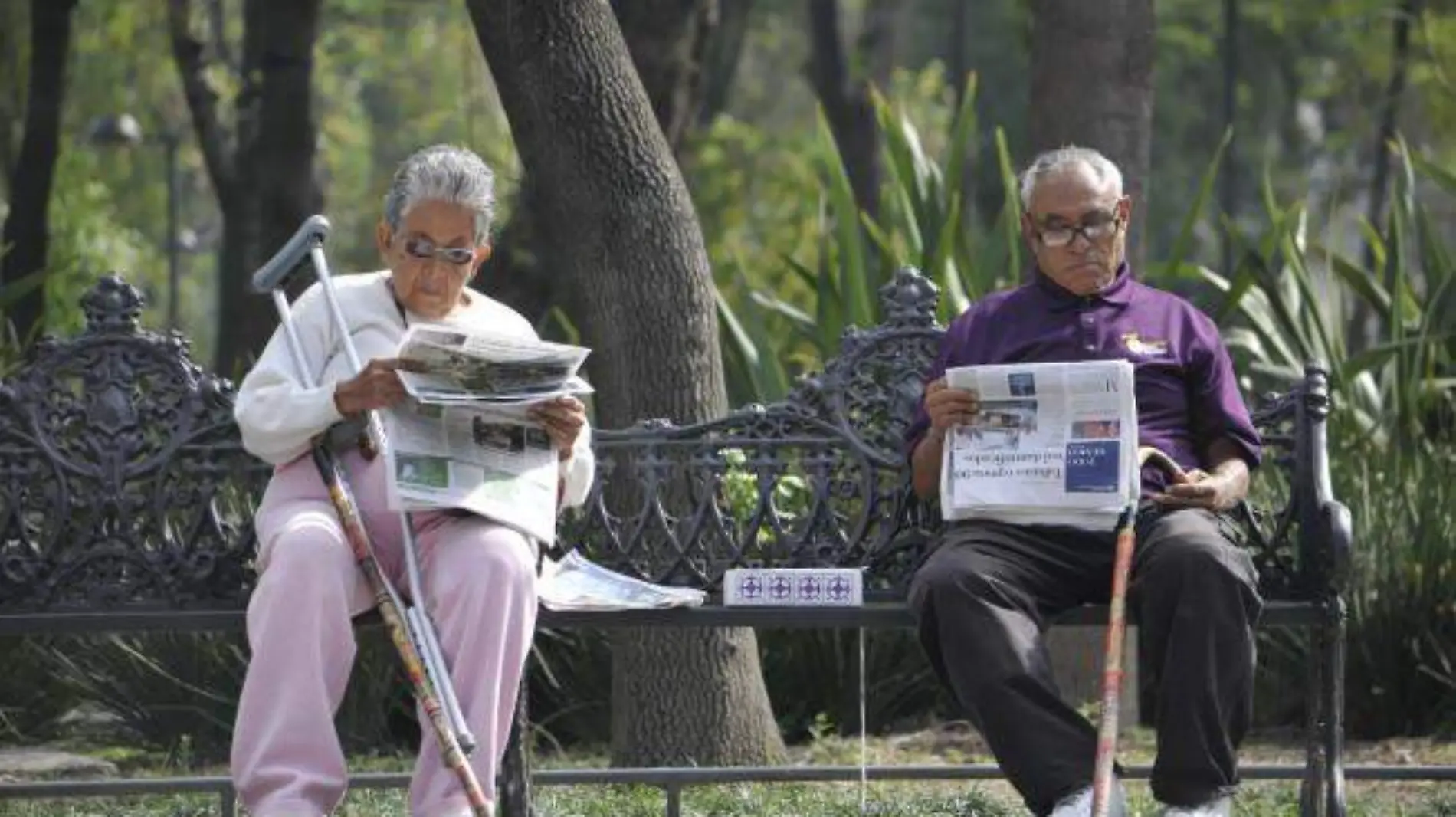 Adultos mayores